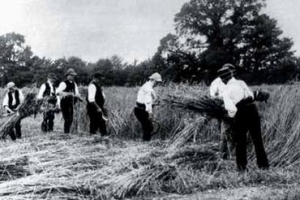 갈릴레이가 그린 ‘태양 흑점 지도’… 400년째 기록중