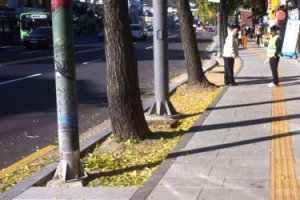 종로, 빗물침투 보도블록 채택