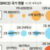 브릭스 ‘금융 독립선언’ 결국 실패