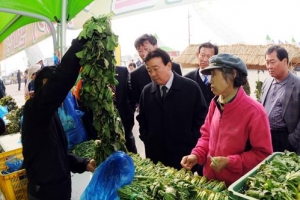 최전방 양구 주민 ‘청정 시래기’ 대박