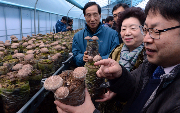 귀농 예정자들이 산림버섯연구소에서 실시한 표고버섯 톱밥재배기술 초급 교육을 받고 있다. (여주 산림버섯연구소)