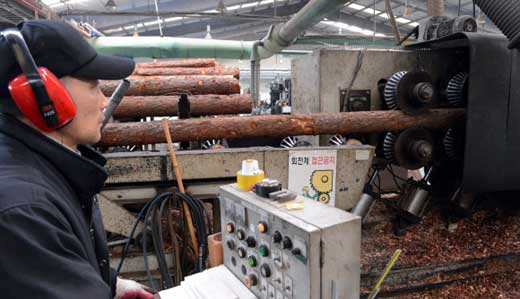 경기도 여주시 중부목재유통센터에서 직원들이 국산목재를 가공하고 있다.