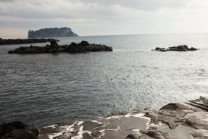 문인·사진작가 50인 자기 정신에 ‘강정’을 새기다