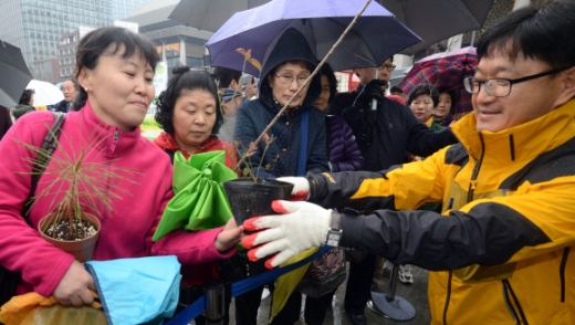 전국민 내나무 갖기 캠페인