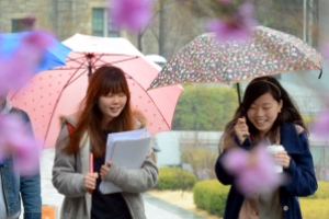 봄비, 여심 촉촉히 적시다