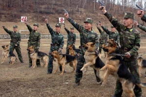 [한반도 전쟁 가능성 시각차] 군사적 긴장수위 높이는 北… 내부적으론 다시 평온한 일상 ‘연출’