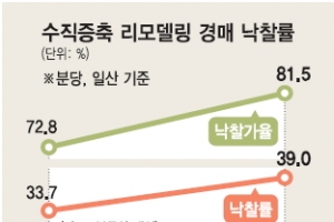 수직증축 리모델링 길 열려… 분당·일산 경매 꿈틀