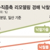 수직증축 리모델링 길 열려… 분당·일산 경매 꿈틀