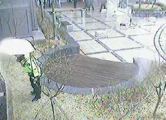 조귀석 경사가 지난 9일 오후 서울 미근동 서대문경찰서 인근의 화단에서 바람에 날아간 한 시민의 지폐를 찾고 있다. 서울 서대문경찰서 제공