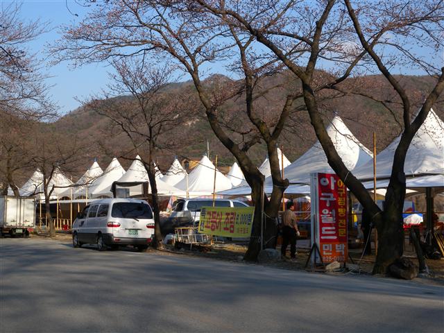 11일 충남 공주시 동학사 진입로에 노점상 천막들이 줄지어 들어서고 있다. 기존 상인들이 축제를 취소하고 노점상의 불법 영업에 반발하고 있지만 천막 설치가 한창이다.