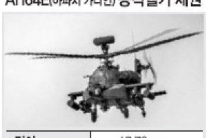 육군 공격헬기 ‘아파치 가디언’ 선정