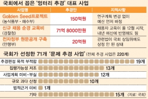 계획부실·연내 집행 불가… 추경사업 10건 중 3건꼴 ‘엉터리’