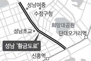 ‘1m확장에 2억’ 성남 공원로 월요일 개통