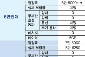 SKT 망외통화 ‘무제한 요금제’