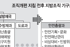 지자체 안전관리체계 대폭 강화