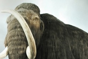 ‘황우석 다큐’ 기자회견 돌연취소 왜?