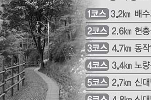 걸어요 情 느끼며 通하는 25㎞