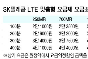 LTE도 음성·데이터 내 마음대로 설계