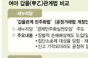 甲 제재 강도 높이자 vs 乙 신고 문턱 낮추자… 다른 듯 닮은 여야