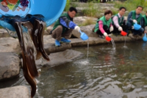“장구벌레 잡으러 가자!”…미꾸라지 2000마리 방류