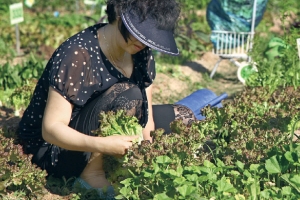 [커버스토리-로컬푸드 시대] 아스팔트 옆 텃밭… 흙은 힐링이다