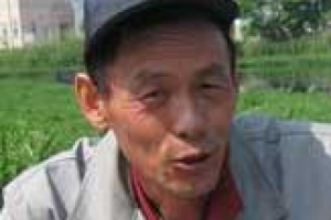 “평강·해만천에 1만마리 이상 서식… ‘반짝 포상금’ 제도론 퇴치 힘들어”