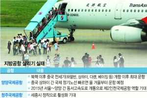 ‘미운오리’ 지방공항 ‘백조’ 될 수 있을까