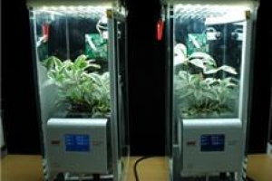 선생님, 식물도 사랑으로 크나 봐요…우리 발소리 들으니 다시 살아나요