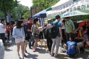 애완견 사지마세요 사랑으로 입양하세요…용산구 “샴푸·목줄로 후원합니다”