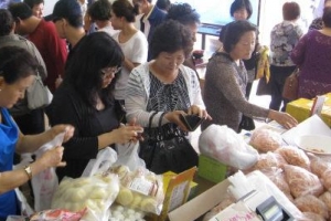 ‘감자원정대’ 강원특산품 살린다