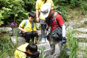 골프장 될 뻔한 초안산이 도롱뇽 보금자리로