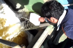 환경부 환경기동단속반 출범 2개월… 악성폐수 배출업체 실태 보니