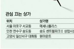 수익형부동산 ‘스트리트형 상가’ 인기