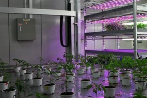 한국농업의 미래 케이팜 가보니