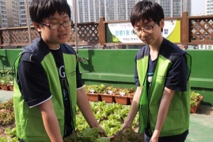 주민센터 옥상 텃밭… 어르신 행복 ‘무한 리필’