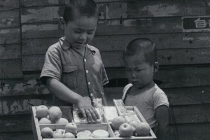 한국전쟁 중 제작 영화 ‘태양의 거리’ 발굴