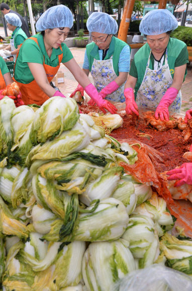 19일 서울 성동구청 앞 광장에서 열린 사랑의 여름 김치나눔행사에서 자원봉사자들이 맛깔스럽게 담근 김치를 들어보이고 있다. 성동구 사랑의 열매 나눔봉사단원 100여명이 담근 김치 11,900킬로그램은 국민기초생활보장수급자 3,460가구에 가구당 3.5킬로그램씩 지원된다. 손형준 boltagoo@seoul.co.kr