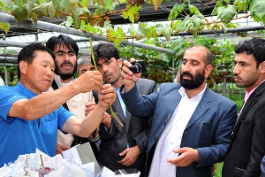 아프간 공무원 ‘선진 농촌’ 학습