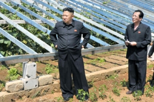 北 김정은, 협동농장 첫 시찰…온실 채소생산 독려