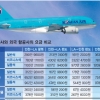 국적기 항공료의 ‘거품’… 내국인 승객만 봉?