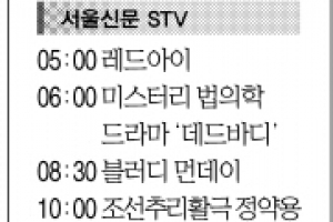 [23일(日) 서울신문 STV·OBS·EBS]