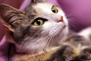 [포토갤러리] I’m your mother