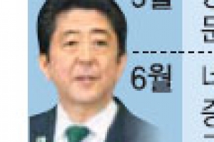아베내각 ‘위안부 강제동원’ 증거 묵살