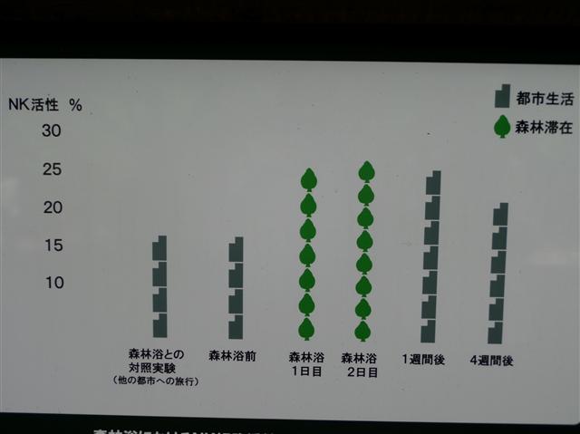 일본의 산림 테라피기지에 설치된 산림치유의 효과를 설명해주는 안내판.