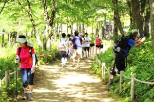 강원 정선 만항재 풍력발전단지 건설 갈등