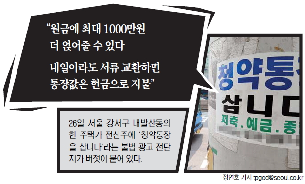 26일 서울 강서구 내발산동의 한 주택가 전신주에 ‘청약통장을 삽니다’라는 불법 광고 전단지가 버젓이 붙어 있다. 정연호기자 tpgod@seoul.co.kr