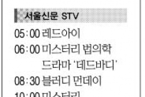[30일 (日) 서울신문 STV·OBS·EBS]