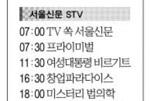 [29일 (土) 서울신문 STV·OBS·EBS]