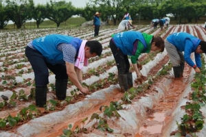 [한국전기안전공사] 전기안전공사의 재능 나눔형 사회공헌 활동은