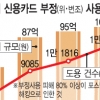 복제카드 피해액 작년 100억 샜다